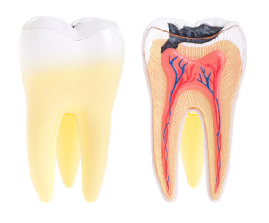 Taking Charge Of Periodontal Disease
